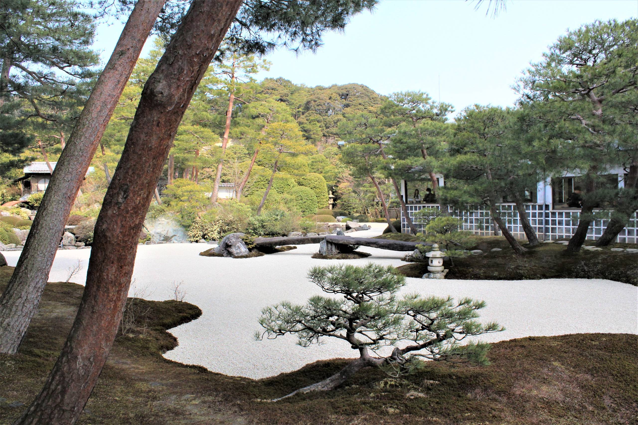 Проект недели: Сад как картина в художественном музее Адачи