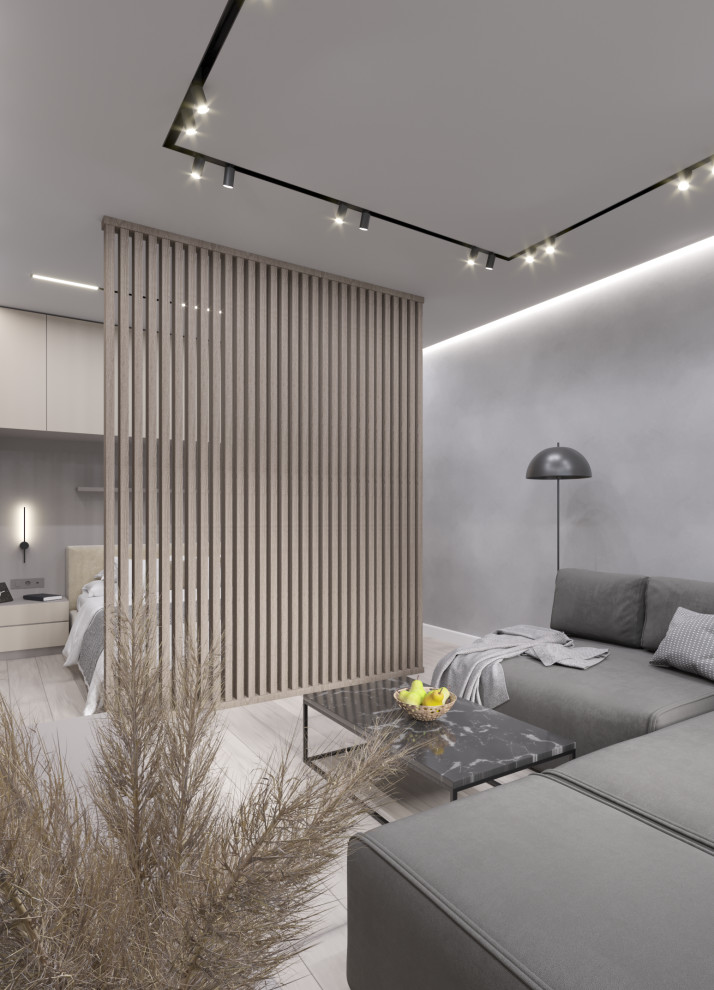 Спальня-гостиная