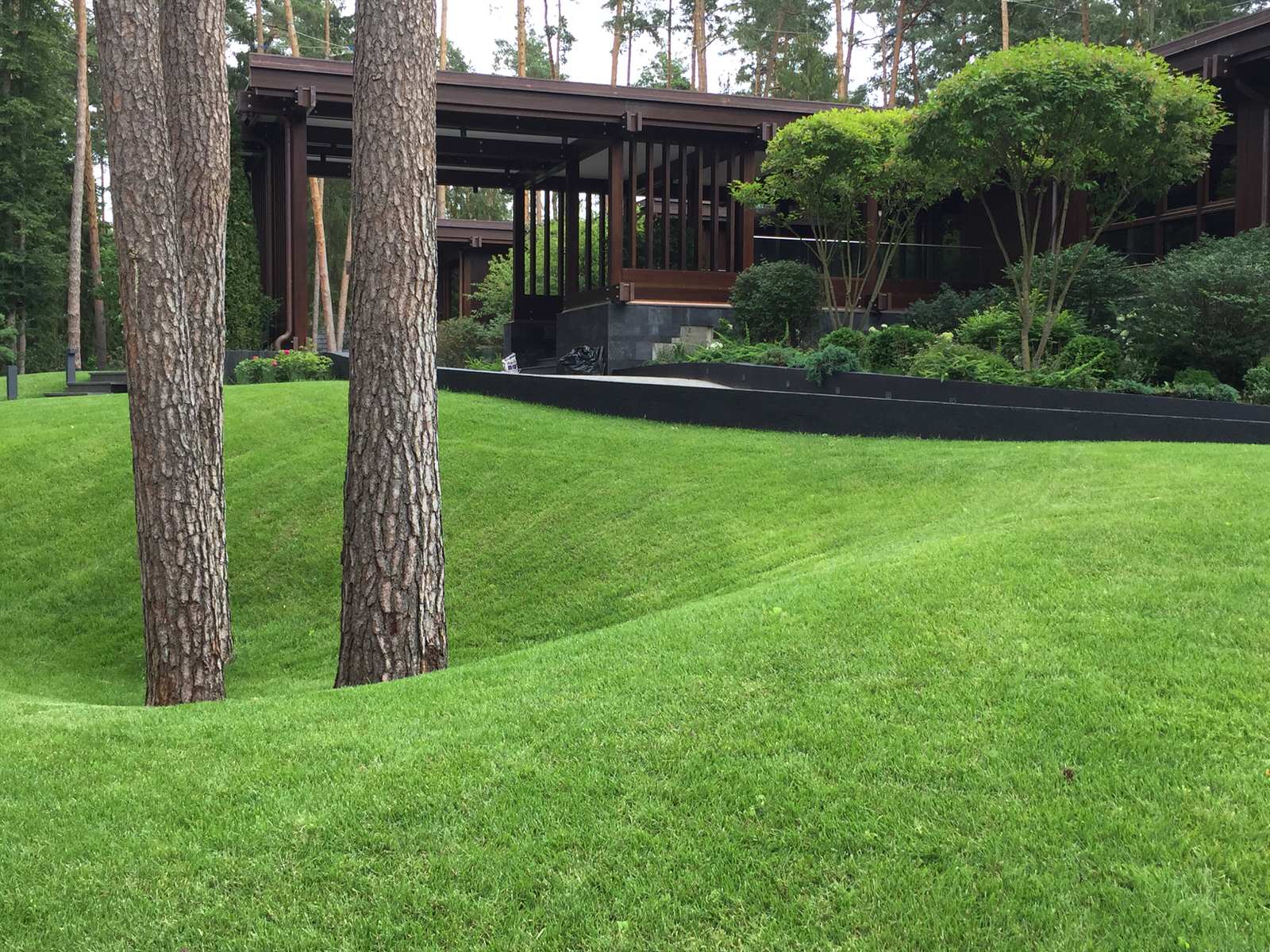 Сосновый бор