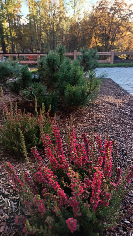 Лесная сказка в Мичуринском