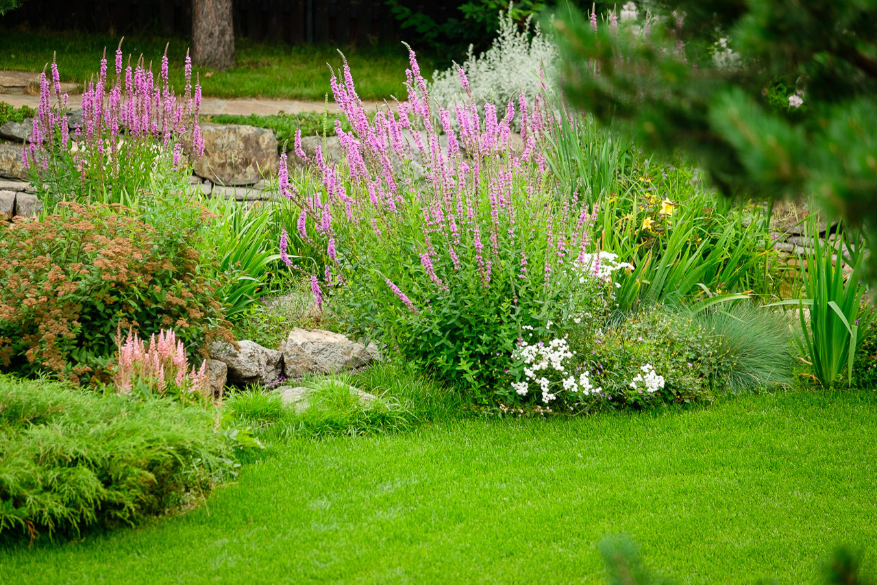 Простор и комфорт загородной жизни