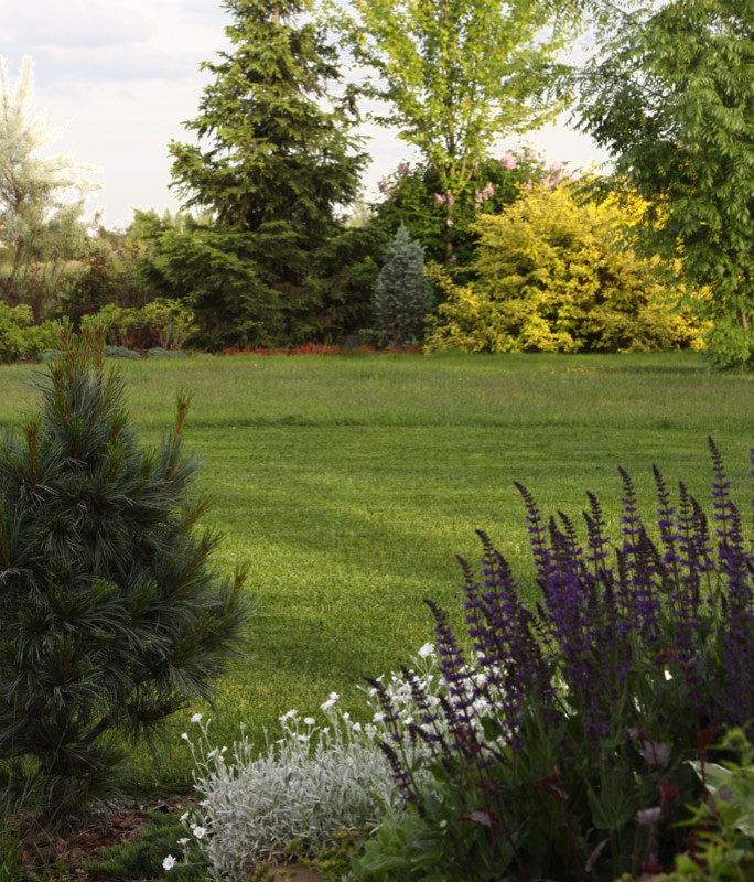 Большой сад для дружной семьи