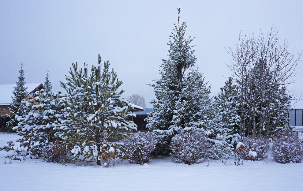 Счастливый сад