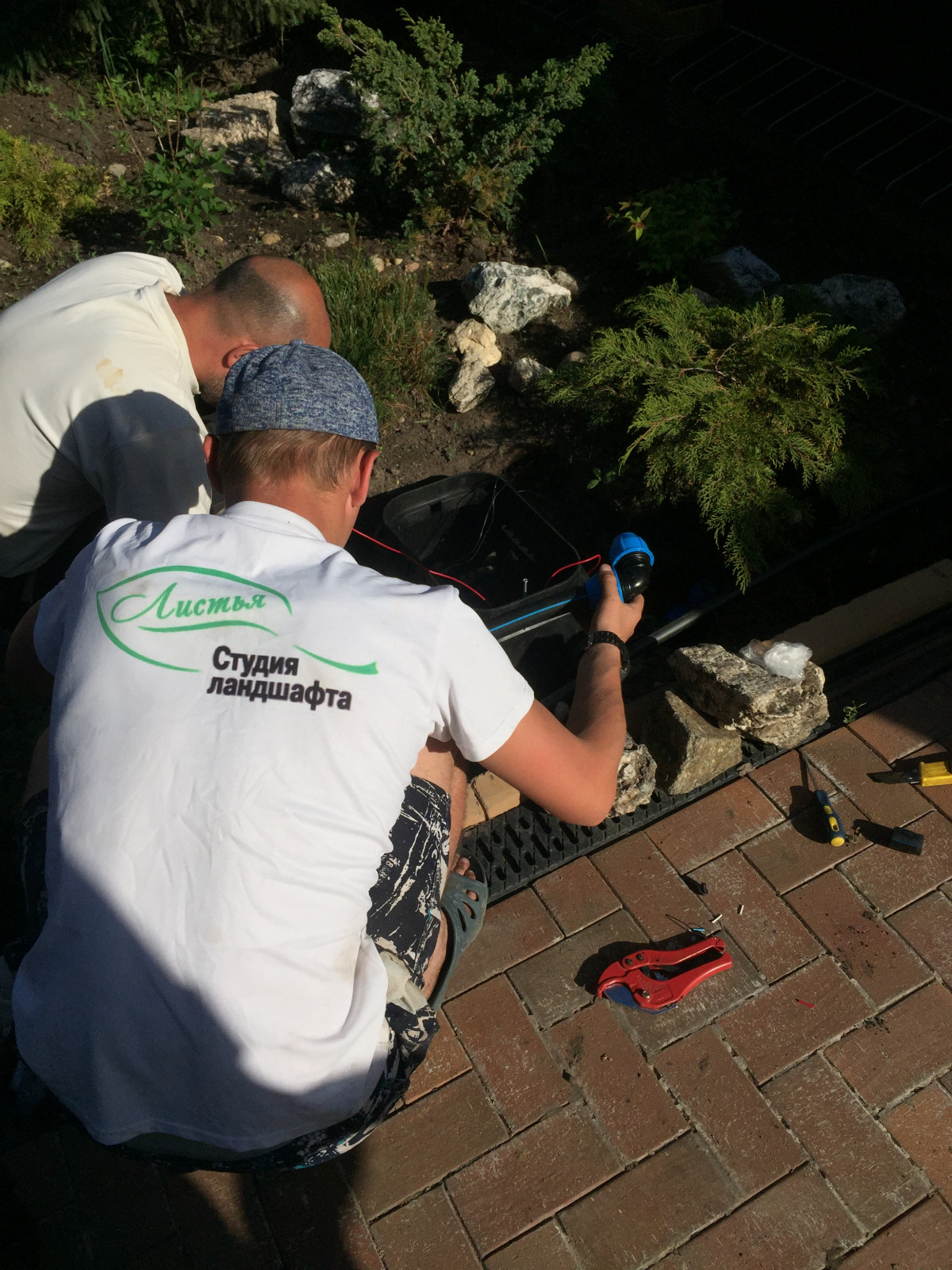 Системы автоматического полива