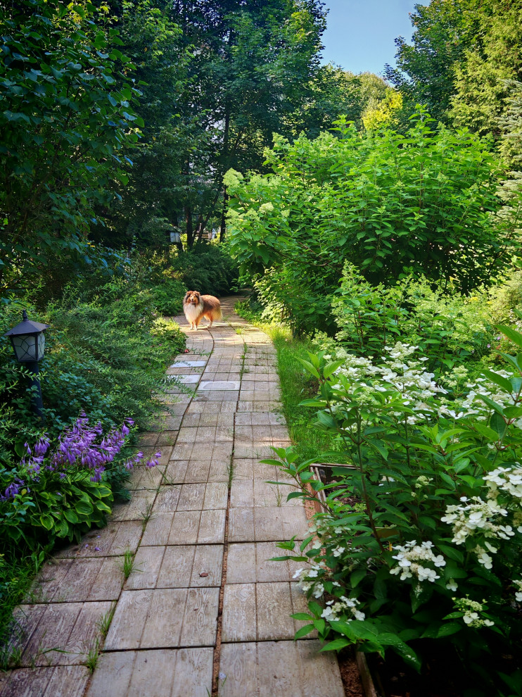 Обложка проекта: сад гортензий