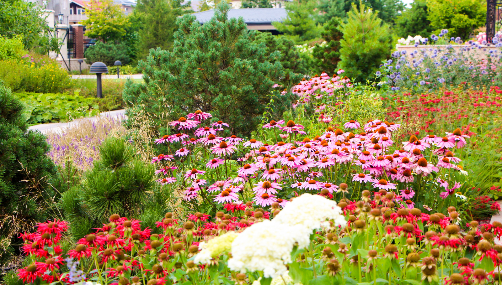 Горки-10, 2017-2020 г.г.