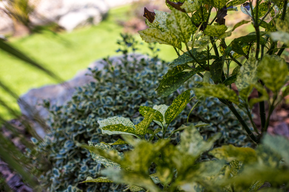 Ландшафтный Дизайн Олимпийский Сочи