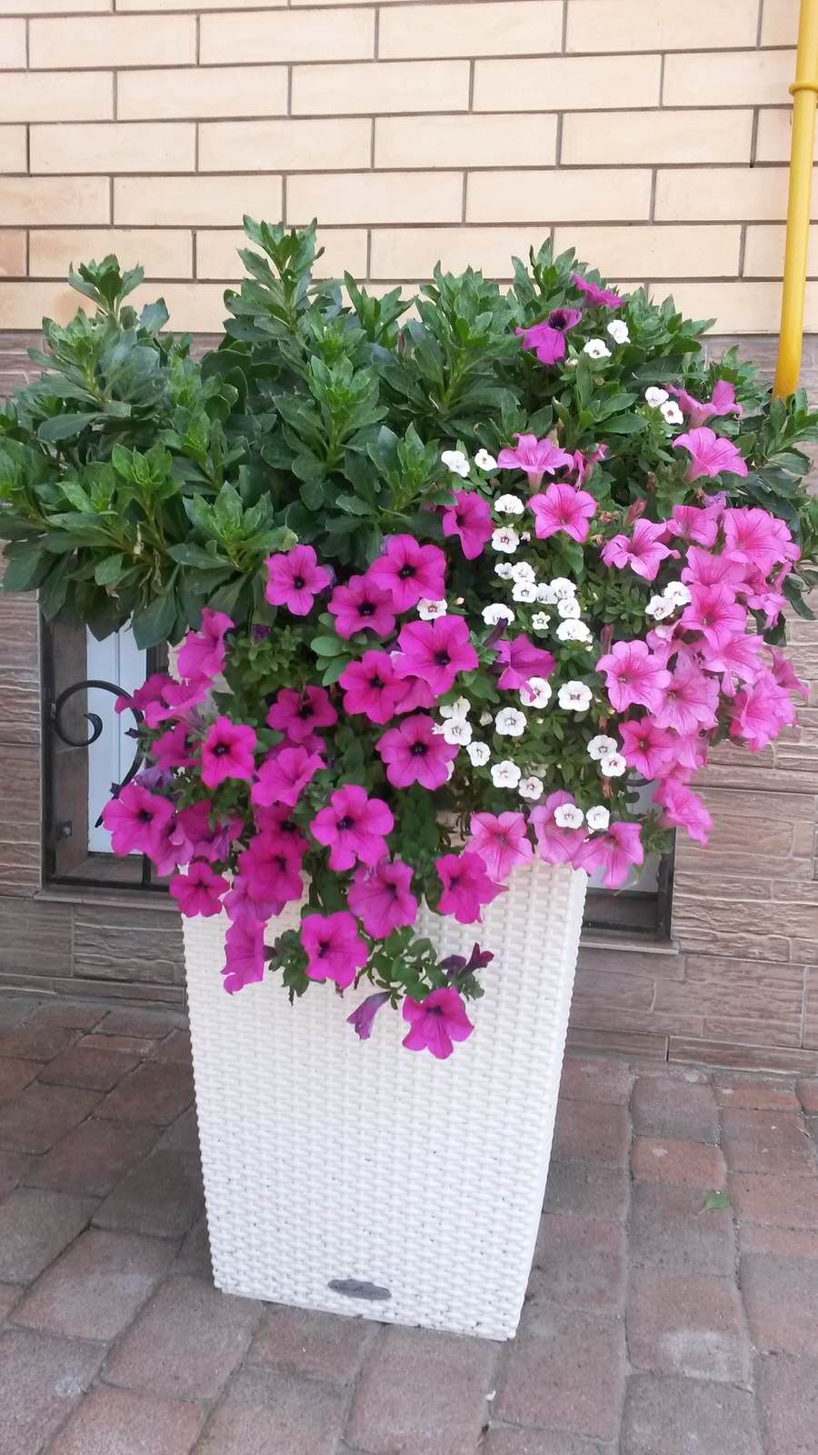 Обложка проекта: "Усадьба"