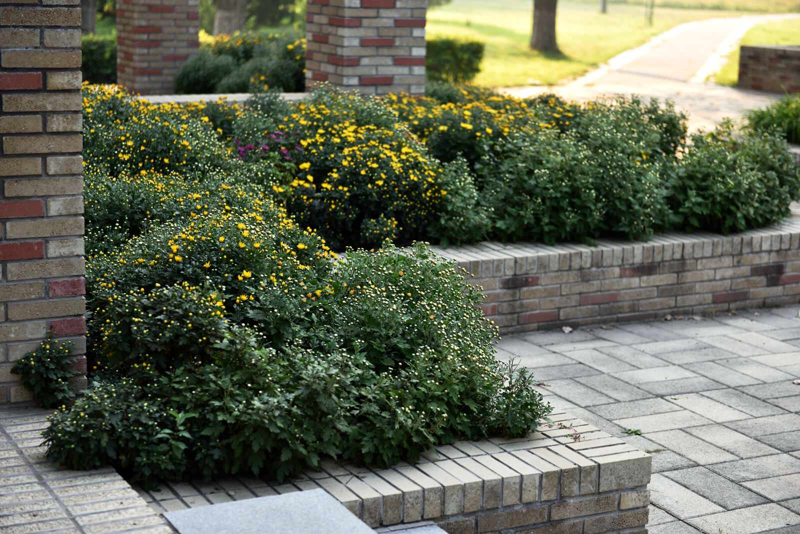 Евгений Джелемей