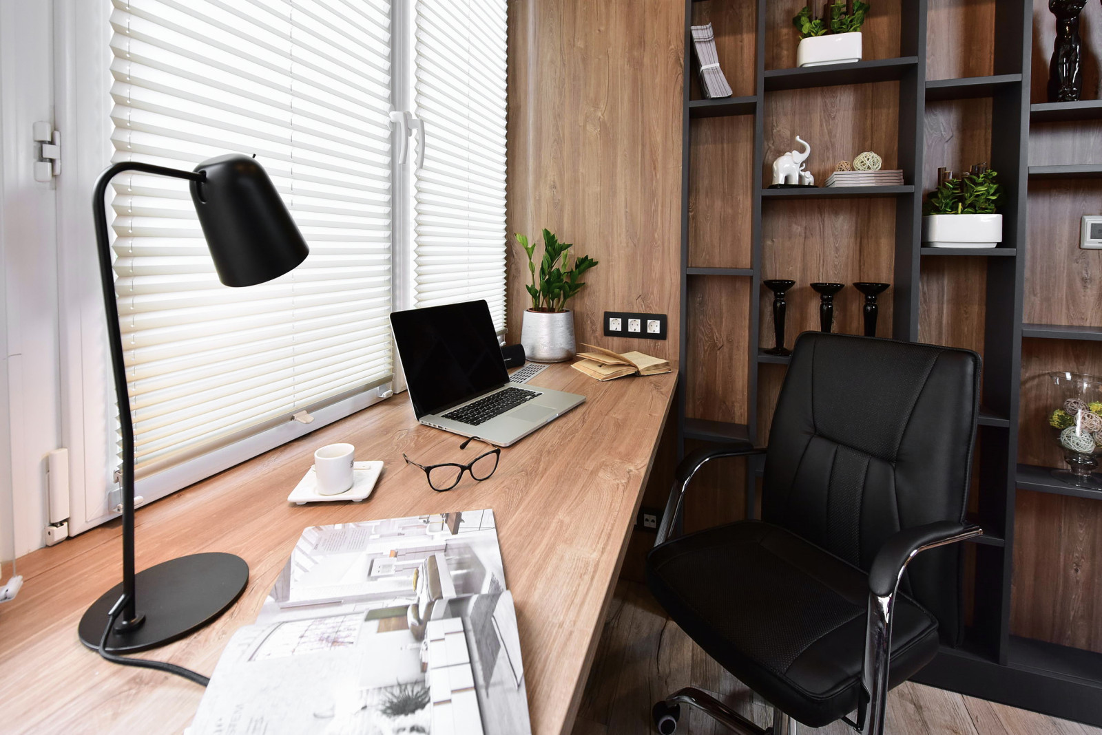 "Белоснежная история"