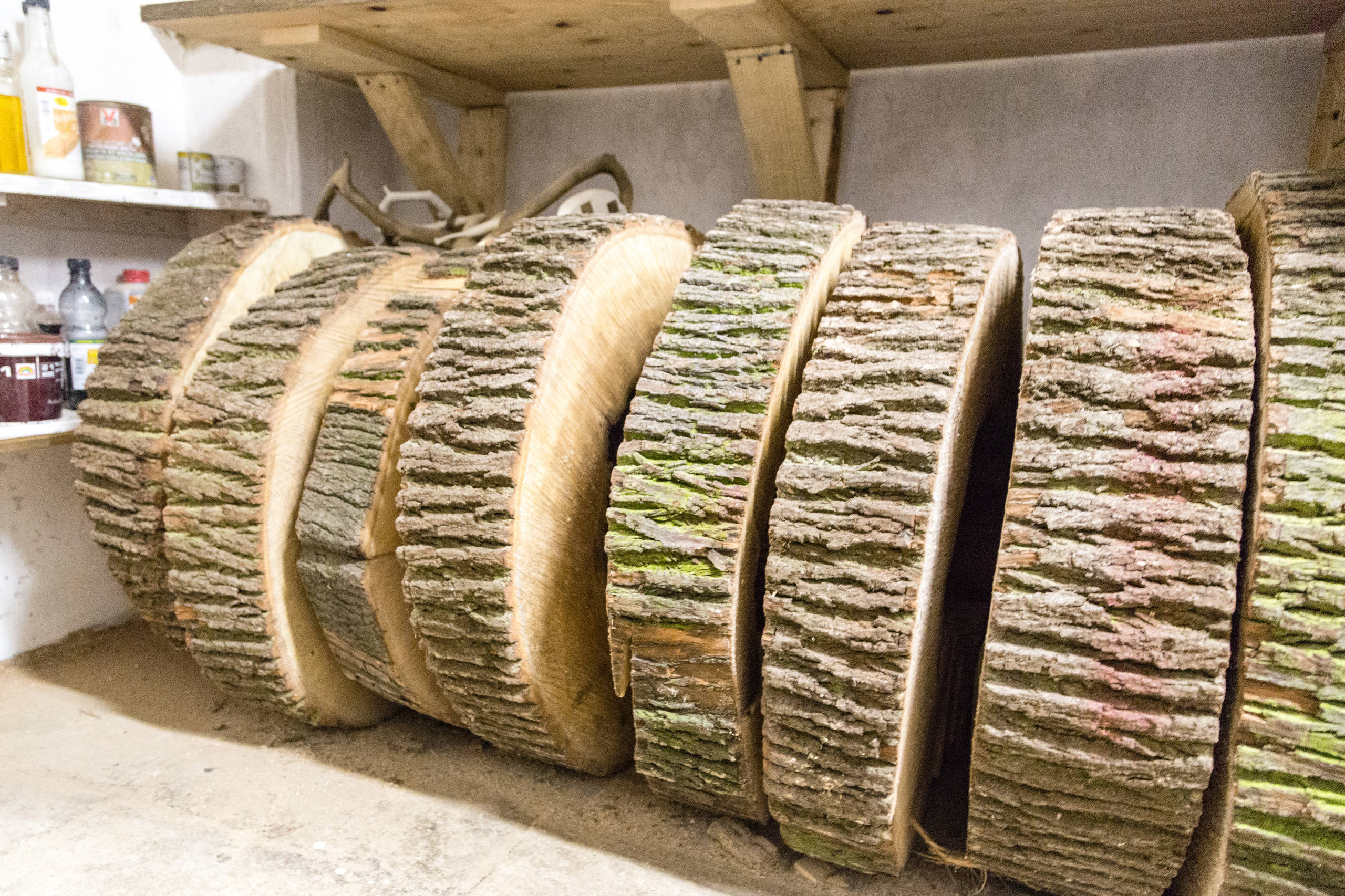 Портрет: Предметы из пустотелов и ветвей от Dubidub