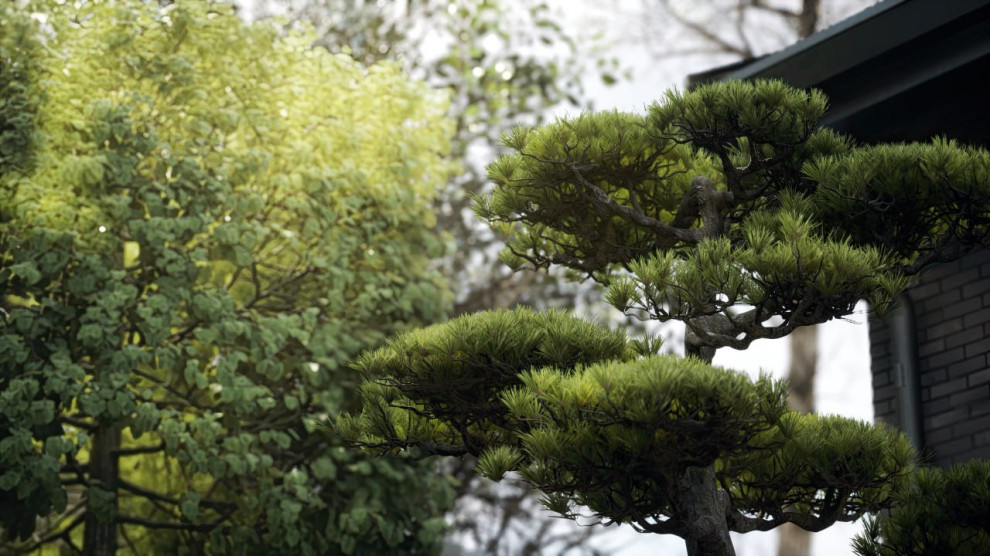 Стадионная