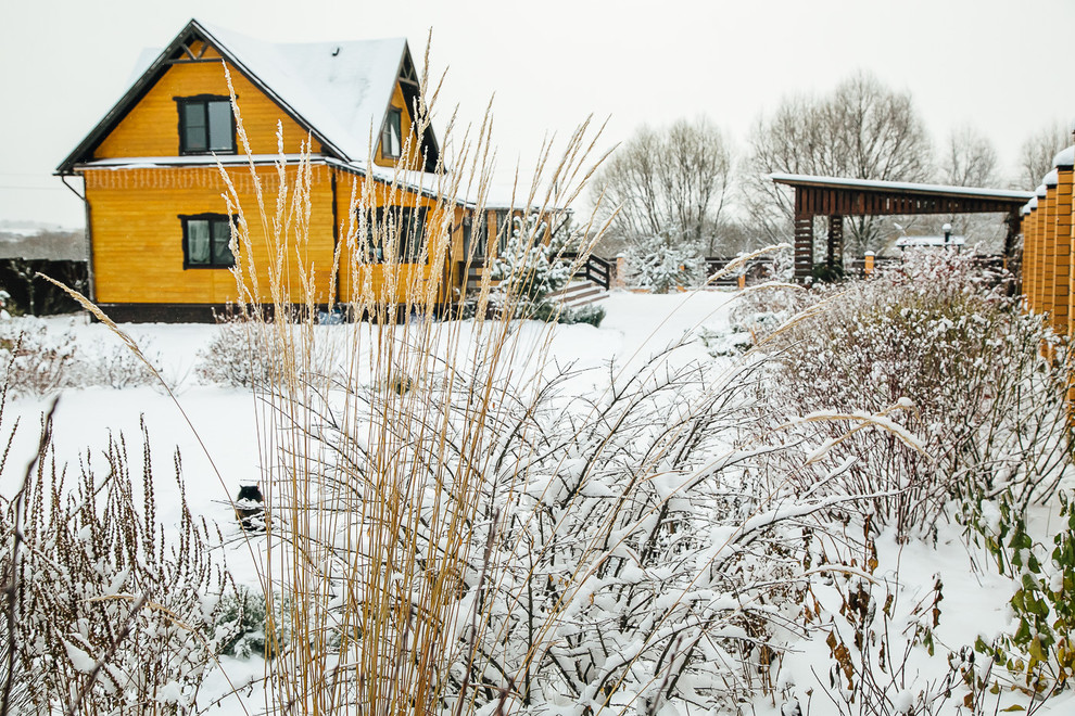 Зимний сад. Ощущение праздника!