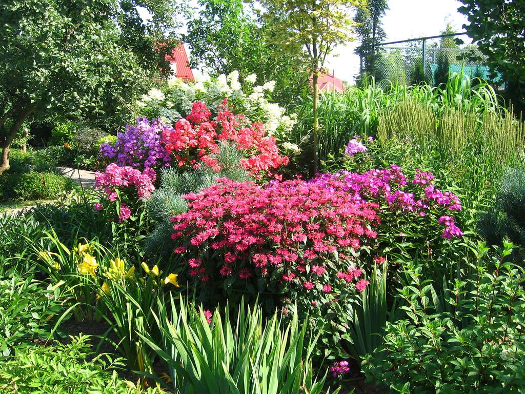 Сад и цветник в английском стиле