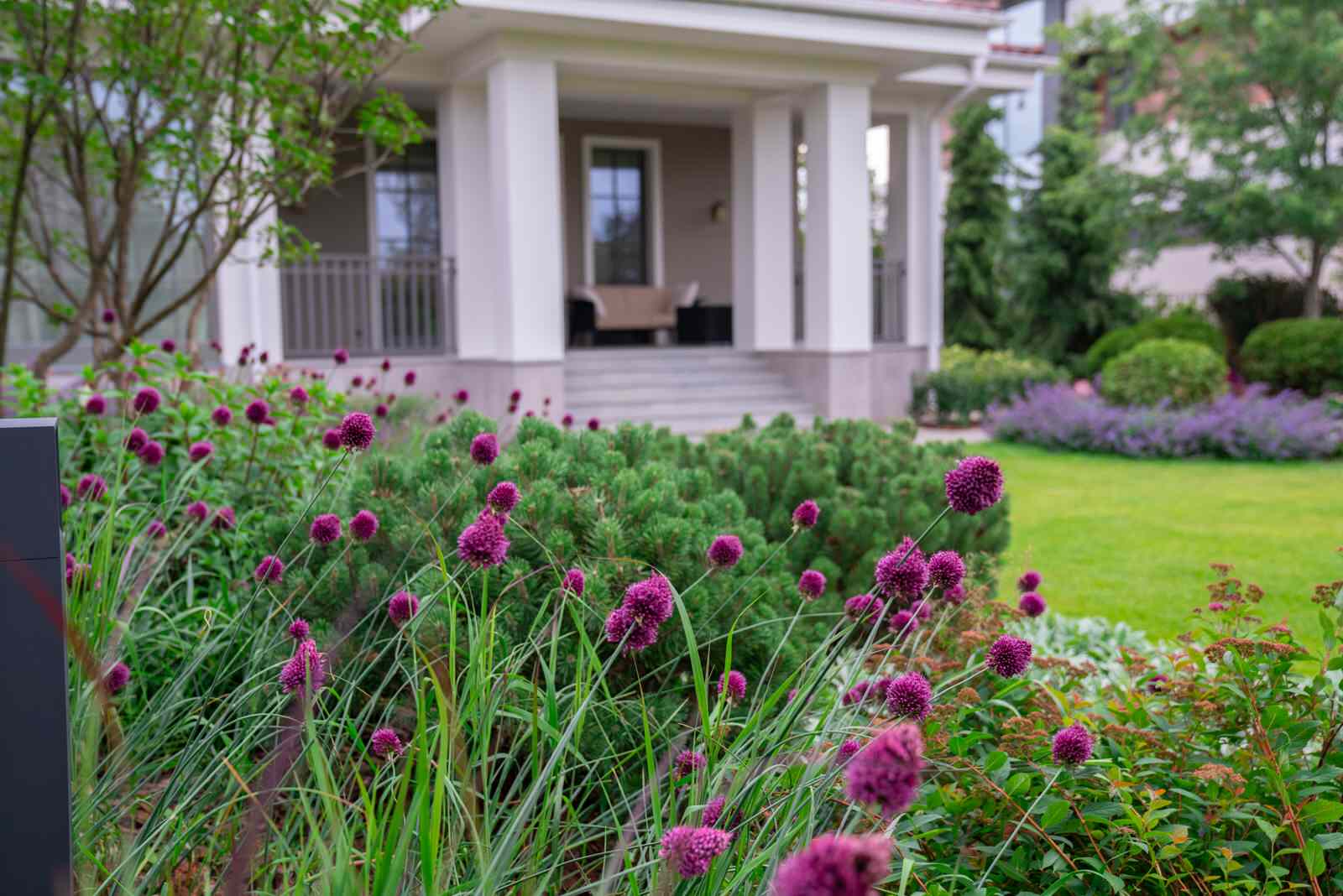 Игра контрастов. Миллениум Парк 2018 г.