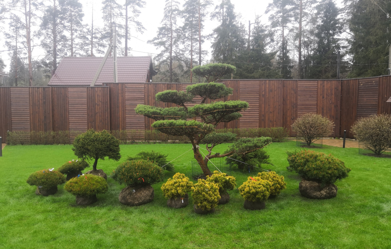 Landscape design of the territory (Moscow region, Green Grove village)