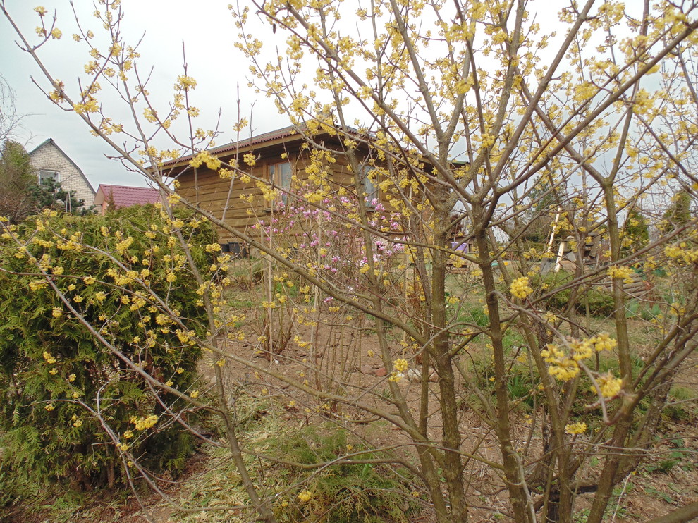 Наш собственный сад