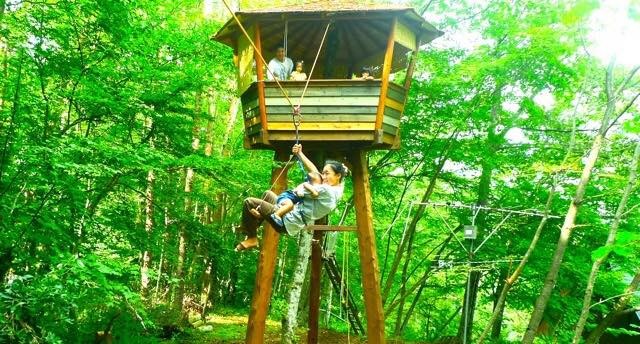 Мир дизайна: 10 домов на деревьях — на радость детям и взрослым