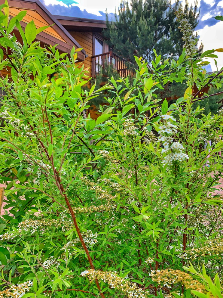 Ландшафтный дизайн в п. Молодёжный (Иркутск)