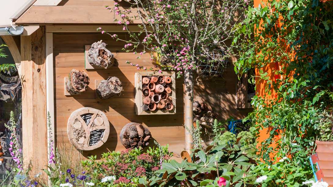 Уроки Chelsea Flower Show: 16 романтических и не только идей для сада