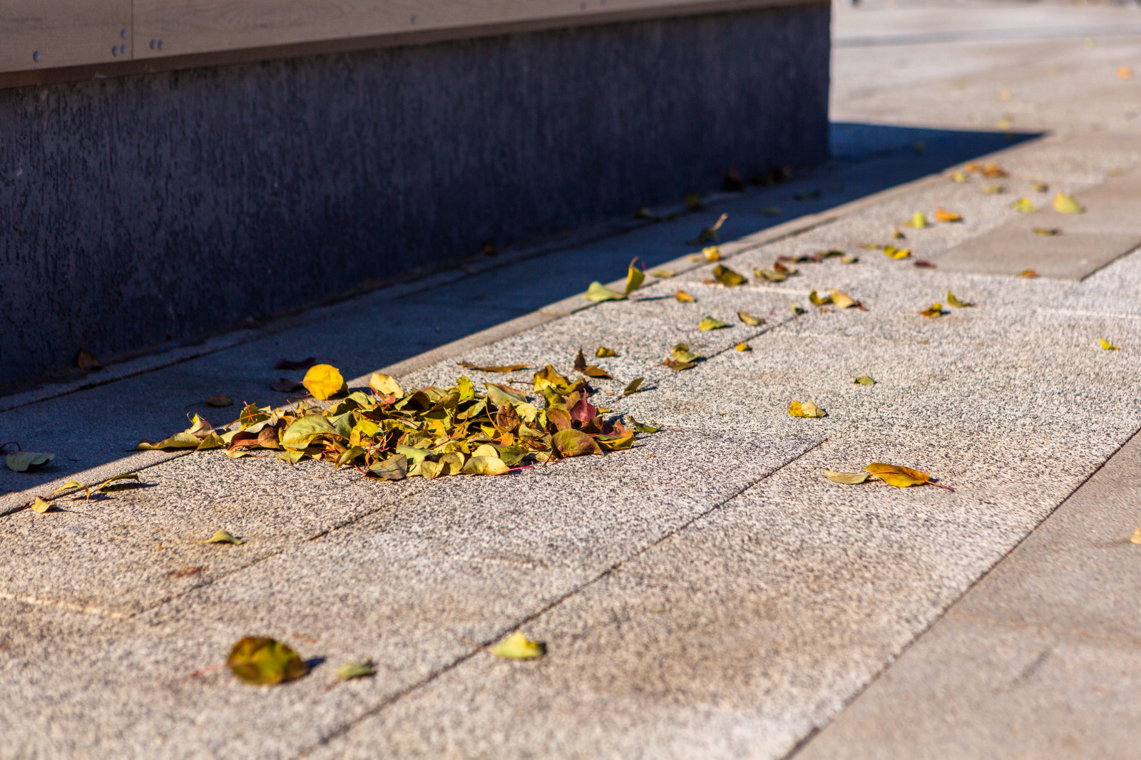 Обложка проекта: Набережная на бульваре Гагарина в Иркутске