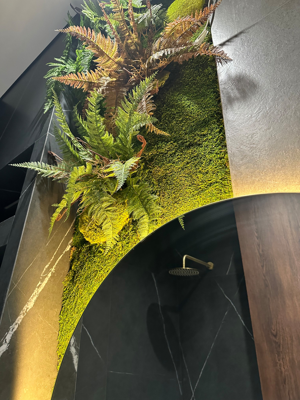 4ED8DAEA-4930-42D4-A3F2-7D7ABC010C50