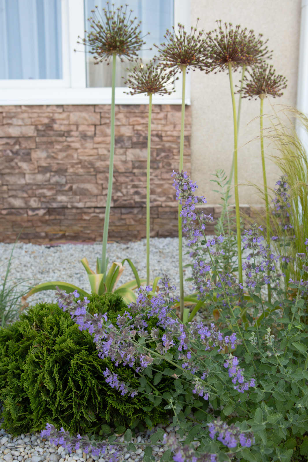 Озеленение территории офисного здания