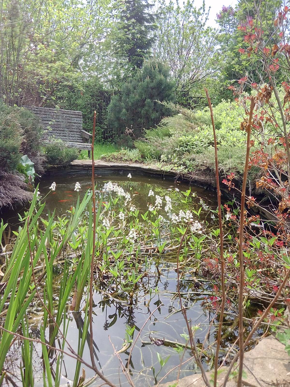 Частный сад