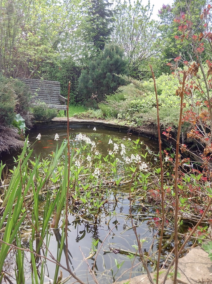 Частный сад