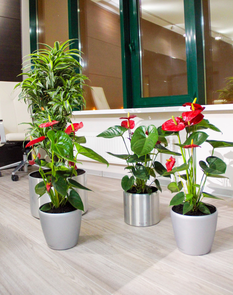 Калуга, Сбербанк, 2010 г.