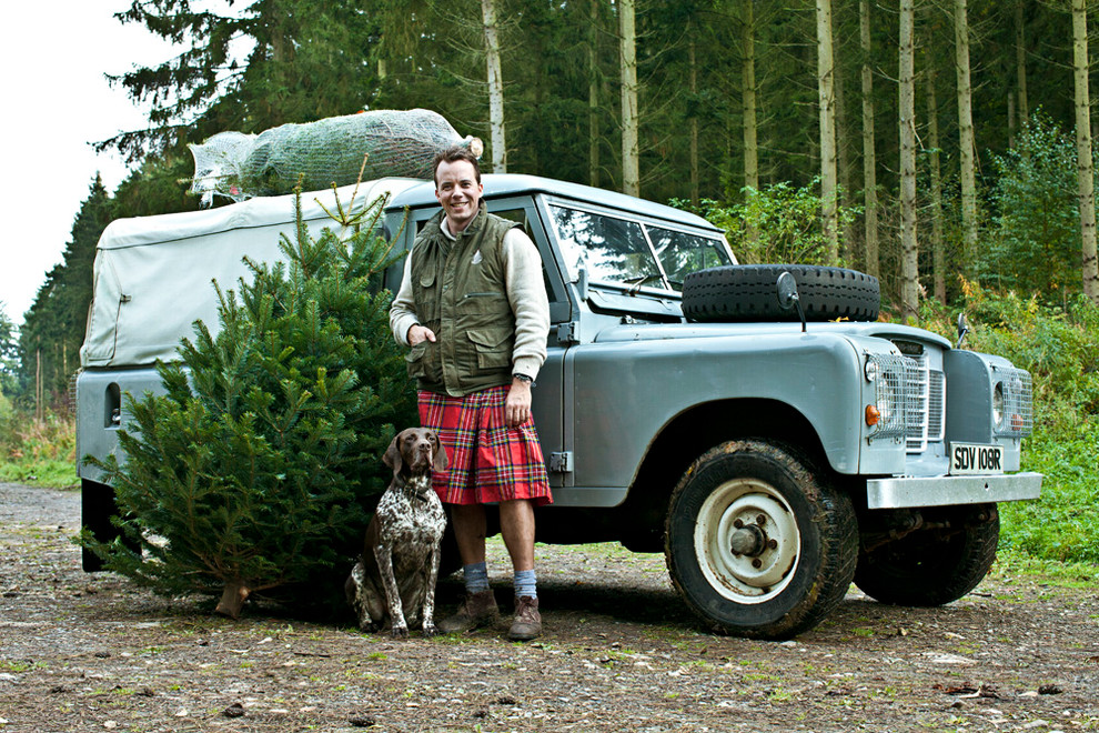 Есть такая профессия: Выращивать новогодние ёлки