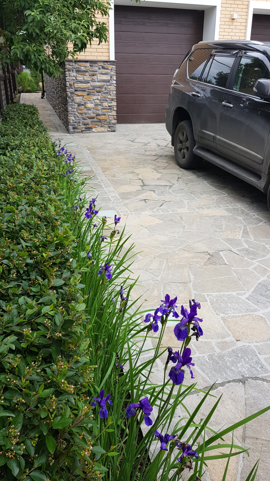 Сад с подпорными стенами