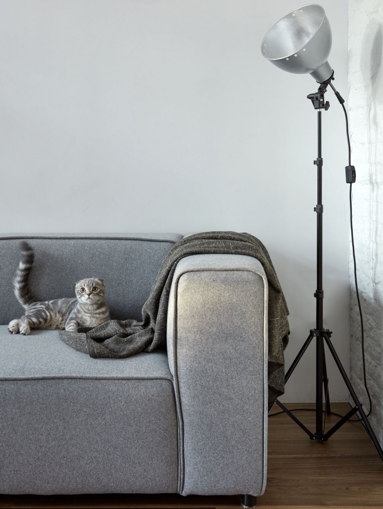 Квартира со сводами