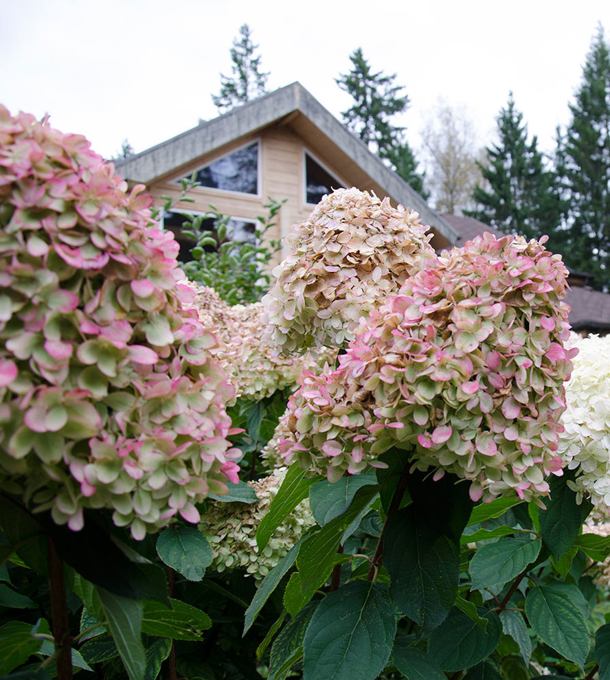 Ландшафтный сад КП "Новоглаголево", Киевское шоссе