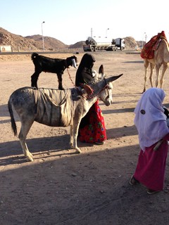 АРКАДИЙ Смбатян