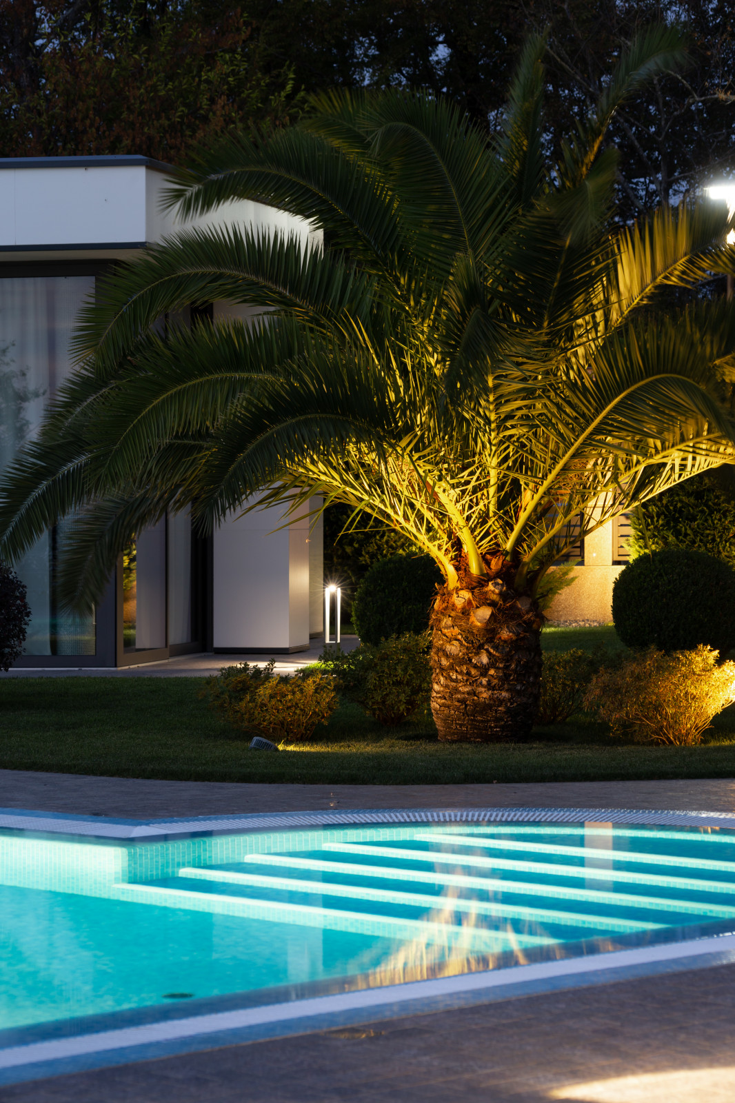 Лазурный Берег Сочи