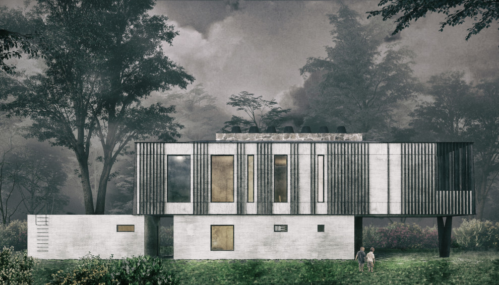 Вилла в Петергофе