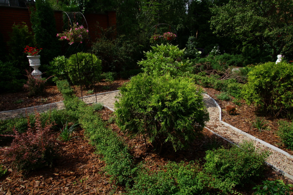 Ильинка. Реконструкция сада