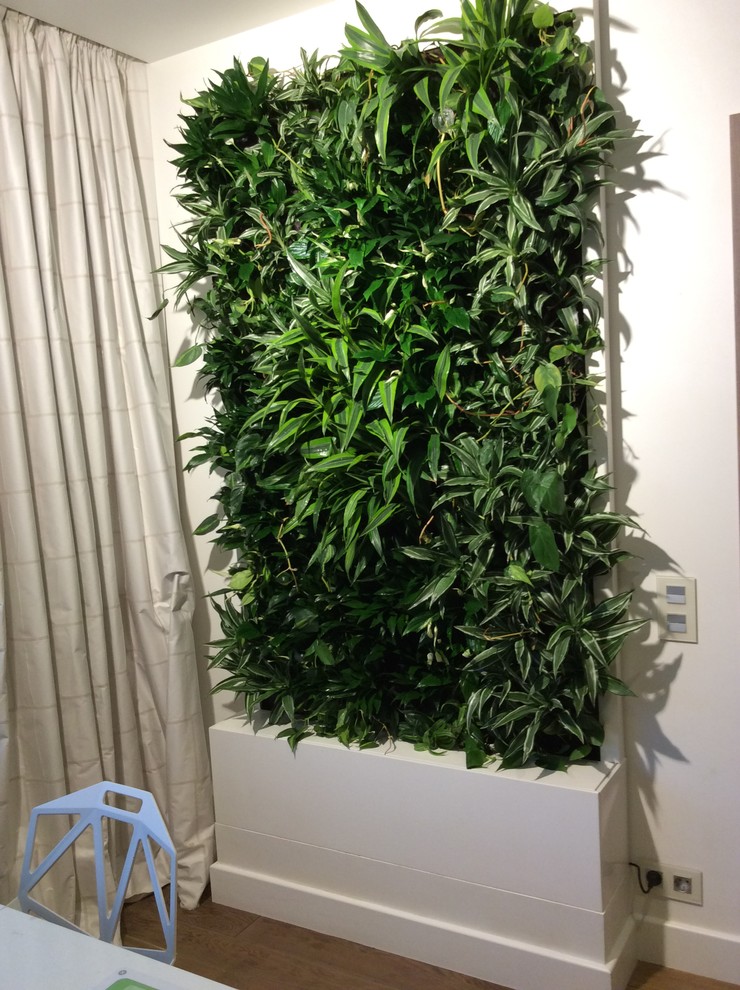 Обложка проекта: Вертикальный сад в гостинной