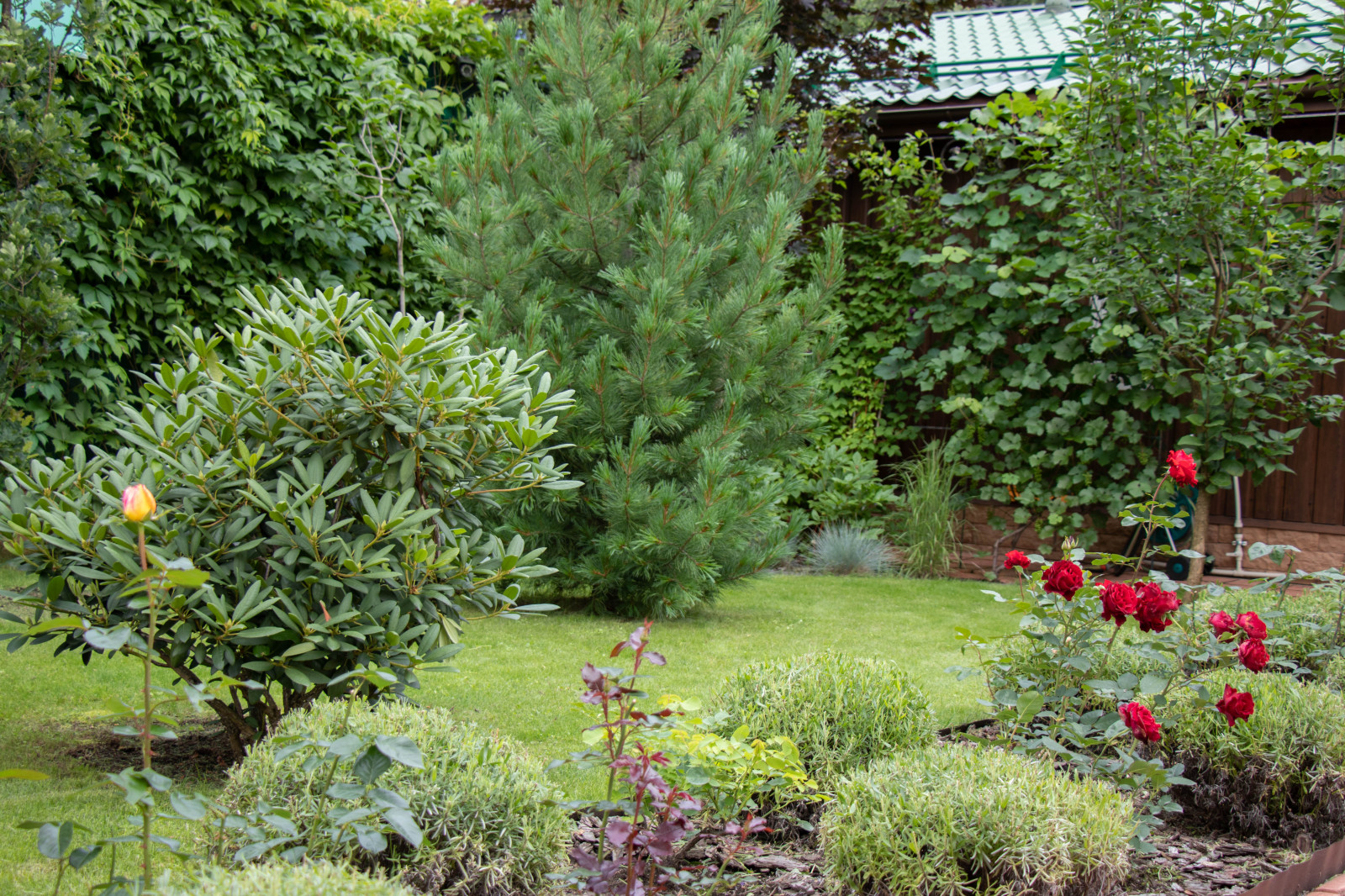 Французский садик в поселке Рыбаки Дмитровское шоссе