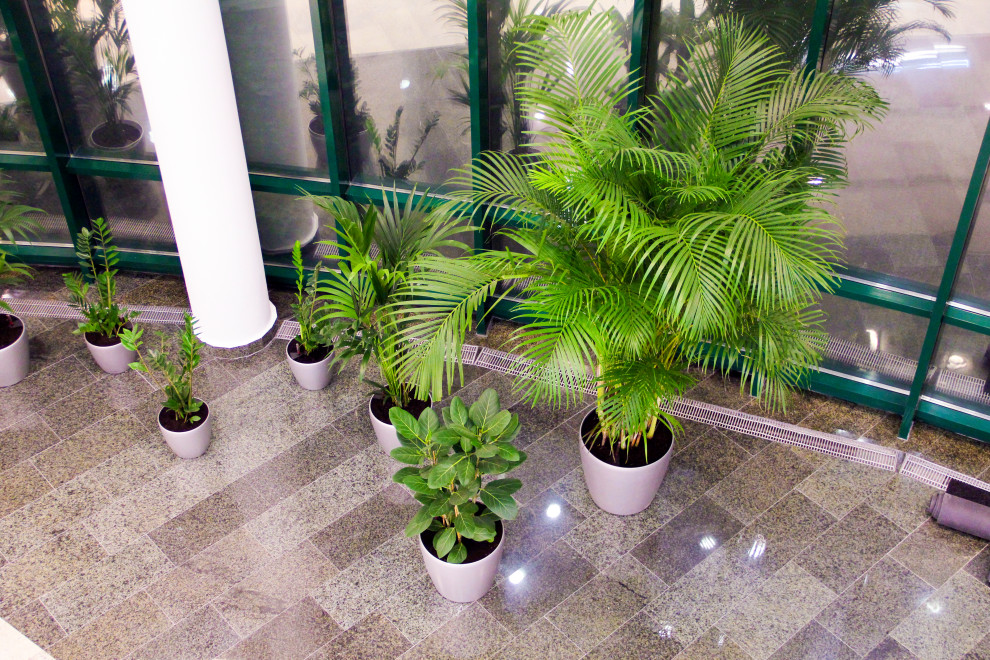 Калуга, Сбербанк, 2010 г.