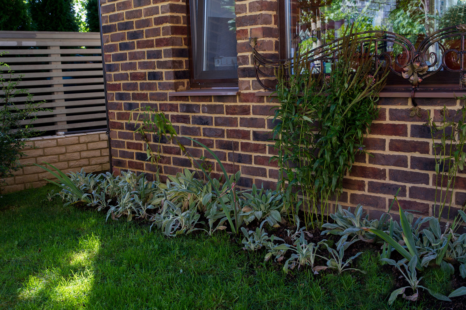 Сад на Пятницком шоссе.  Дизайнер Лариса Юрова