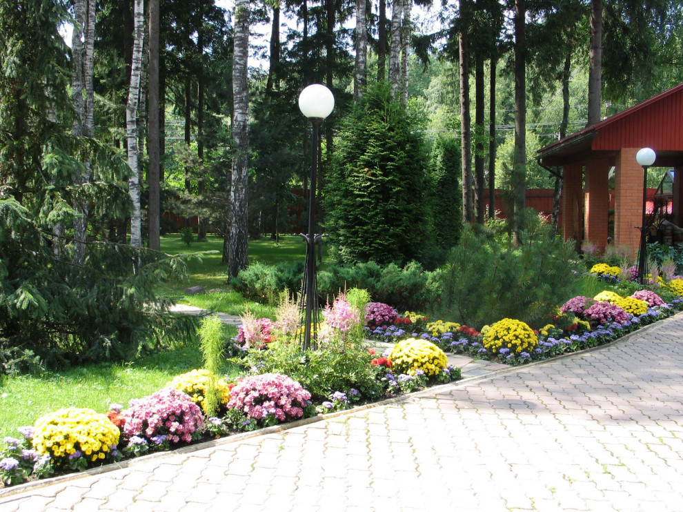 Обложка проекта: Глаголево