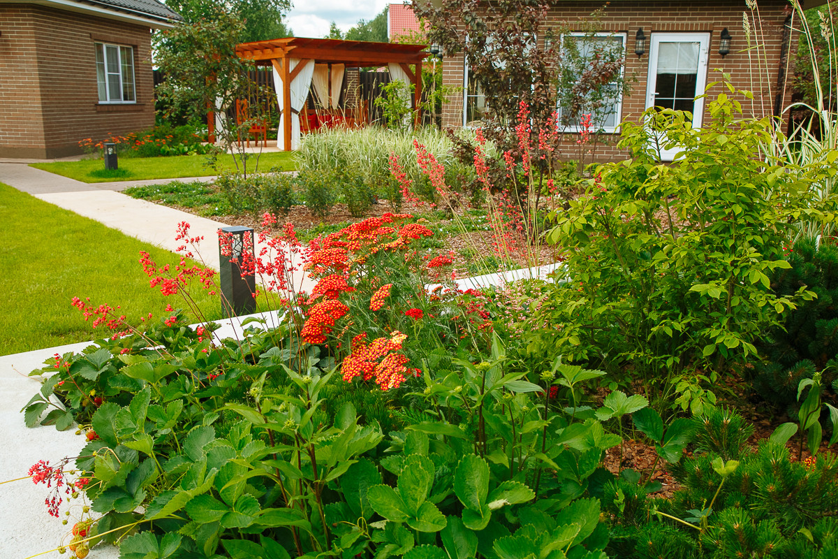 Времена года в саду "Красный октябрь"