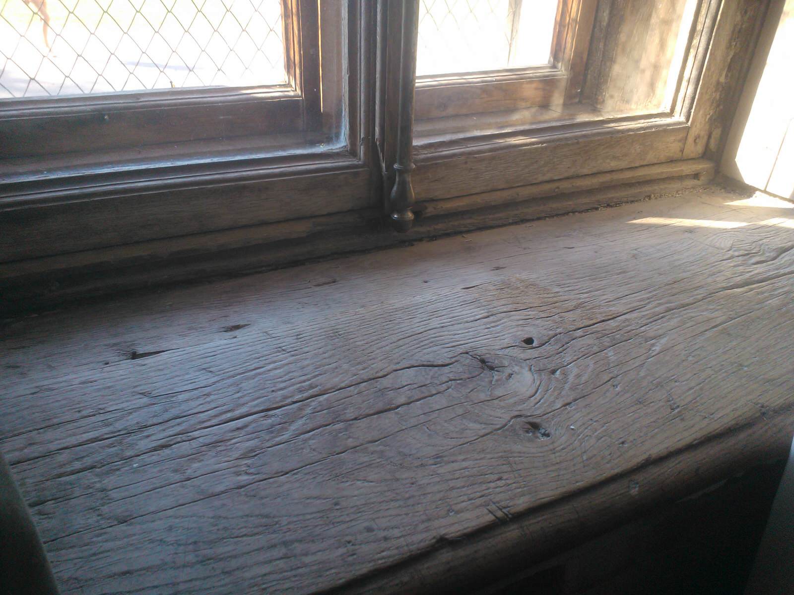 Дворец Ольденбургских (Рамонь)     дуб