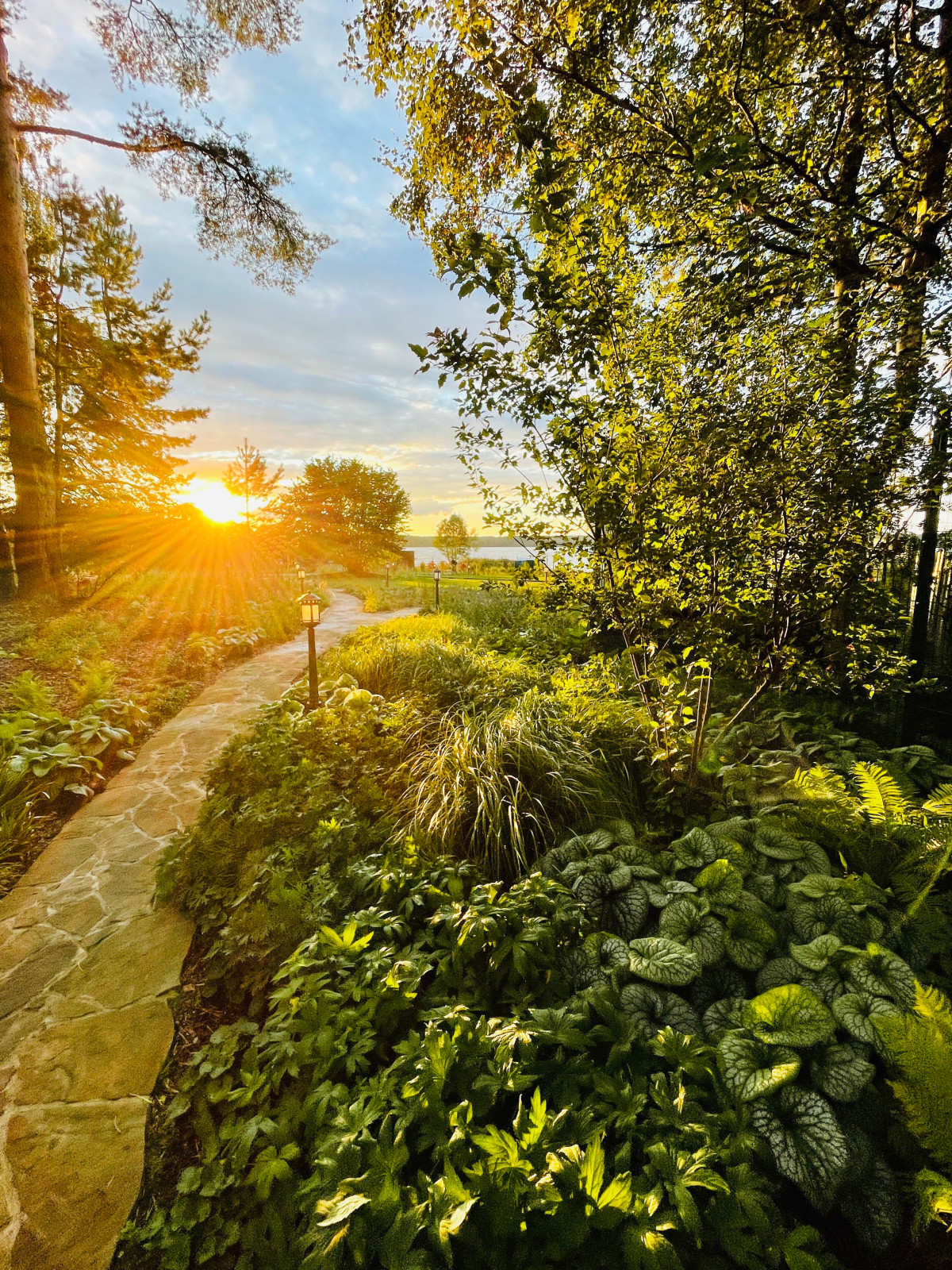 Обложка проекта: Сад на Волге «Конаково River Club»