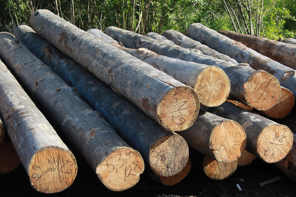 Производство и заготовка