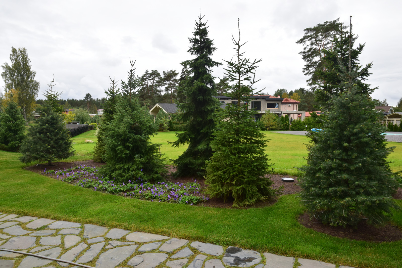 Сестроречье