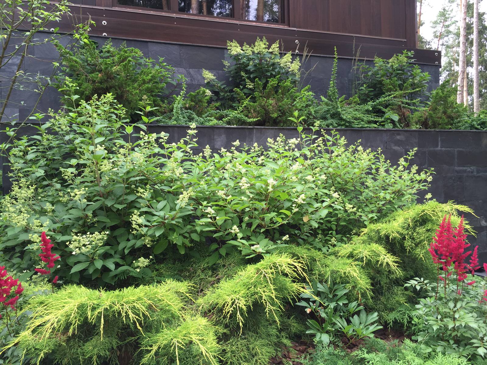 Сосновый бор