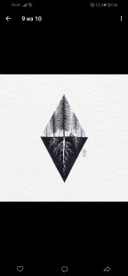 Анна Шавокшина